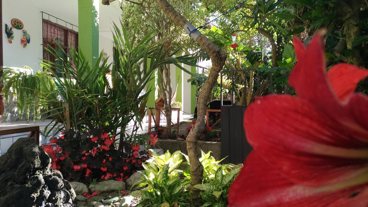Hostal & Spa Casa Real 바뇨스 외부 사진